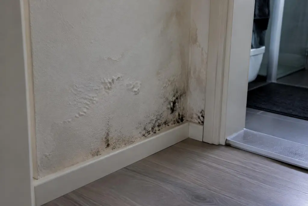 Lekdetectie Hendrik-Ido-Ambacht – vochtplek met schimmel op een muur